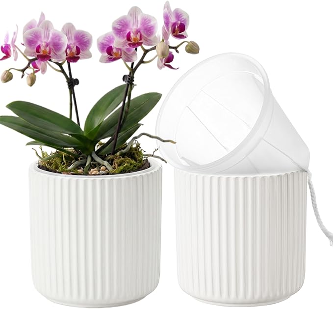 2 Pack of 4in Ceramic Cachepot with 4 inch Clear nusery Pot - self Watering Indoor Planter with Drainage for Root Visibility,semi Hydro pots for repotting Succulent,White