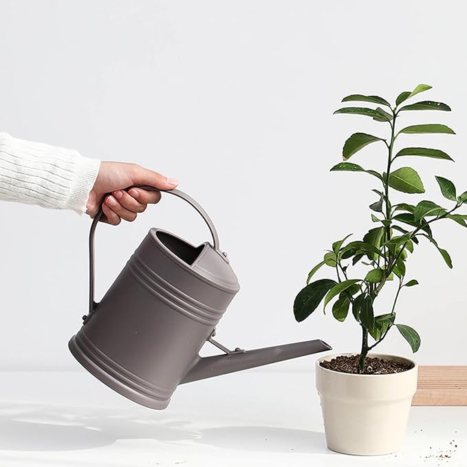 1/2 Gallon Plant Watering Can, Large Capacity Modern Plastic Long Spout Watering Can with Removable Sprinkler Head and Handle,Watering Can for Flower House Bonsai Plants Garden