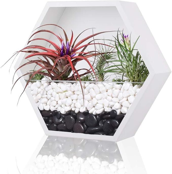 Hanging Hexagon Planter Wall-Mounted Flower Pot Hanging Basket Metal Vase Air Plant Holder Vintage Flower Pot Geometric Planter Succulent Cactus Container (S,White)