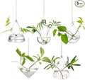 Glasseam Hanging Planters Glass Terrarium: 5Pcs Modern Plant Propagation Stations Hydroponic Wall Vases for Air Plants Flowers Indoor Window Home Decor