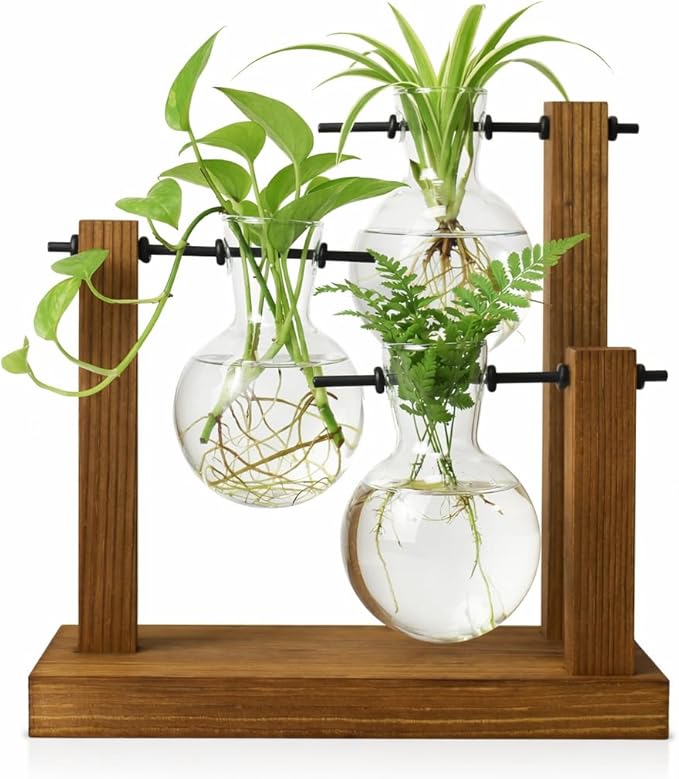 Plant Propagation Station with Glass Propagation Vases, Plant Propagation Jars in Wooden Stand, Hydroponic Vase for Plant Cuttings, Decorative Propagation Station for Home Desk Office