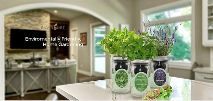 Hydroponic Herb Growing Kit Set, Self-Watering Mason Jar Herb Garden Starter Kit Indoor, Windowsill Herbs Garden, Grow Your Own Herbs from Organic Seeds (Basil, Mint, Parsley)