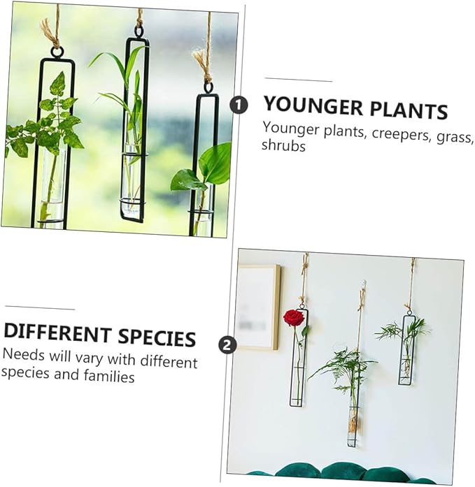 Hanging Glass Hydroponic Vase Set 3pcs with Test Tubes and Iron Frames, Wall-Mounted Plant Propagation Station for Home Décor and Garden Display, Includes 3 Hemp Ropes and 3