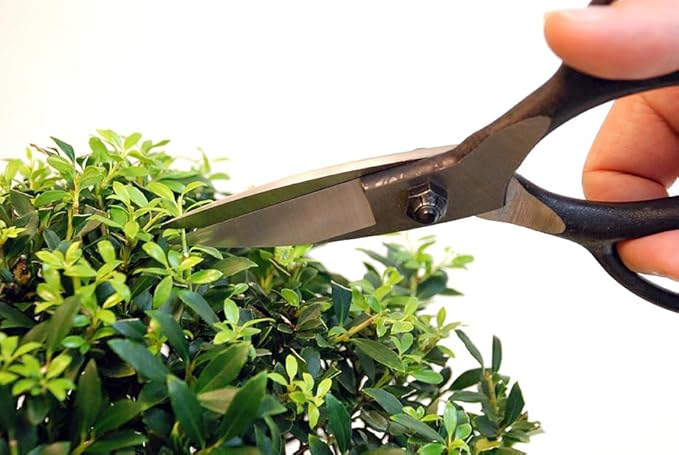 Okatsune No. 201 Plant Shears, A-Shaped, with Sack, Silver