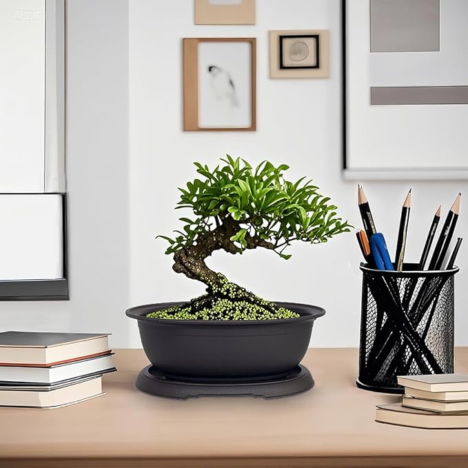 MUZHI 3 Pack Oval Bonsai Training Pot with Drainage Tray, Matte Finish Nursery Plastic Bonsai Planter with 25PCS 2inch Mesh pad (5.2" Small)