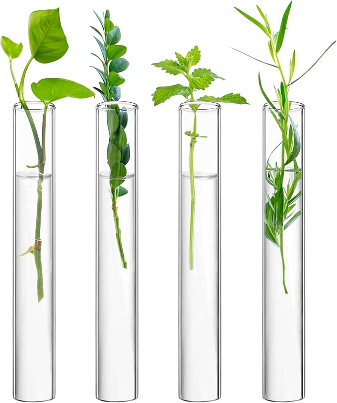 XXXFLOWER Glass Propagation Stations Accessories Glass Test Tubes Tiers Planters Wall Terrarium for Home Office Plant Hanger Flower Vases Wall Decor Hydroponic Cuttings Clear-4 Tube Vases