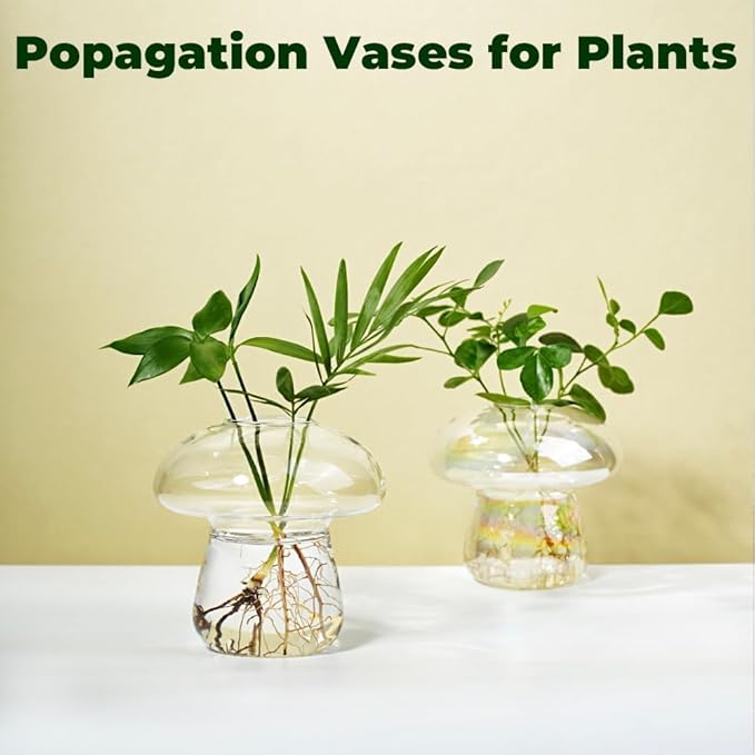 Wall Hanging Mushroom Vase, Small Plant Propagation Stations Cute Mushroom Glass Planter Terrarium Indoor Hydroponic Flower Holder for Elegant Home Decor Gifts, Clear, 2 PCS