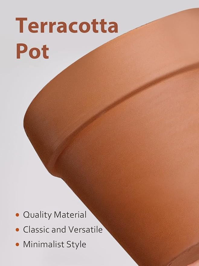 INGOFIN 12 Inch Terracotta Pot Set of 2 with Saucer - Ceramic Clay Pot for Plants with Drainage Hole, Large Terra Cotta Flower Planter with Tray for Indoor Outdoor Plants