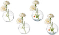 Wall Vases, Wall Hanging Planter Propagation Station, Glass Walls Vase for Flower Propagating Hydroponics Plants, Home Office Decor Present (4 Pcs)