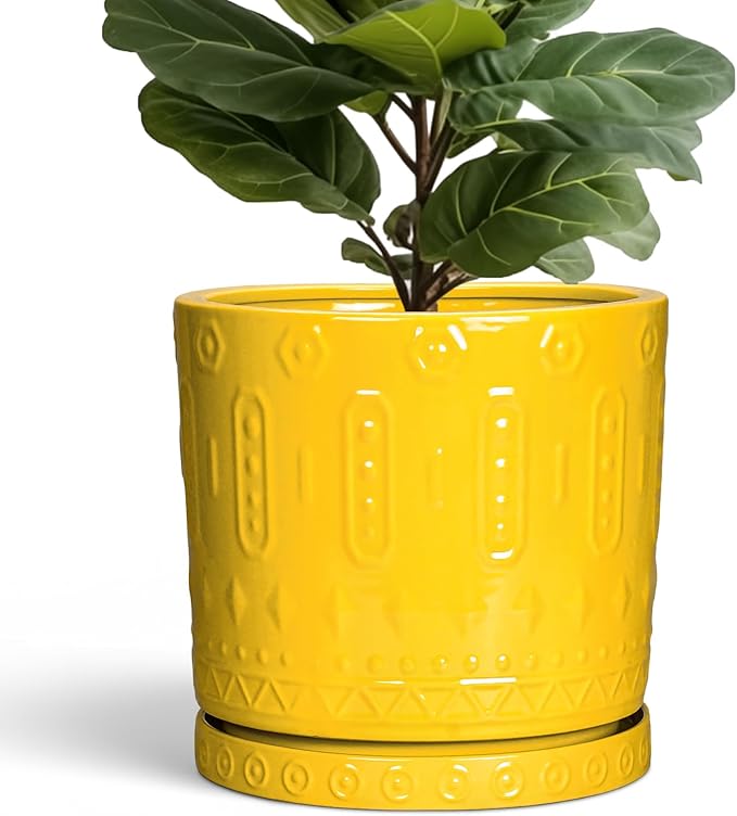 Eightpot Ceramic Flower Pots, 12 Inch Plant Pot with Drainage Holes and Saucers, Round Pots for Plants for Indoor Outdoor, Boho Decorative Planter, Garden House Decor, Gifts for Women, Yellow
