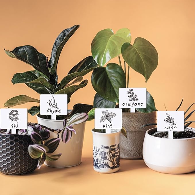 arricraft 15 Pcs Funny Acrylic Plant Labels, 15 Styles Colorful Signs with Printed Words Tags for Indoor Outdoor Greenhouse Potted Seed Herbs Patio Supplies