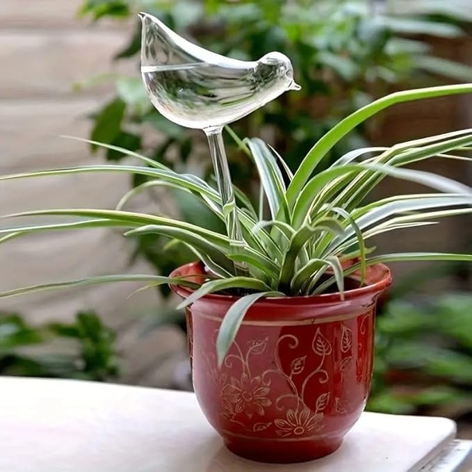 Bird-Shaped Self Watering Globes for Plants, PVC Transparent Automatic Watering Devices for Indoor Outdoor Potted Plants, Decorative Slow Release Irrigation Bulbs 100ml Capacity