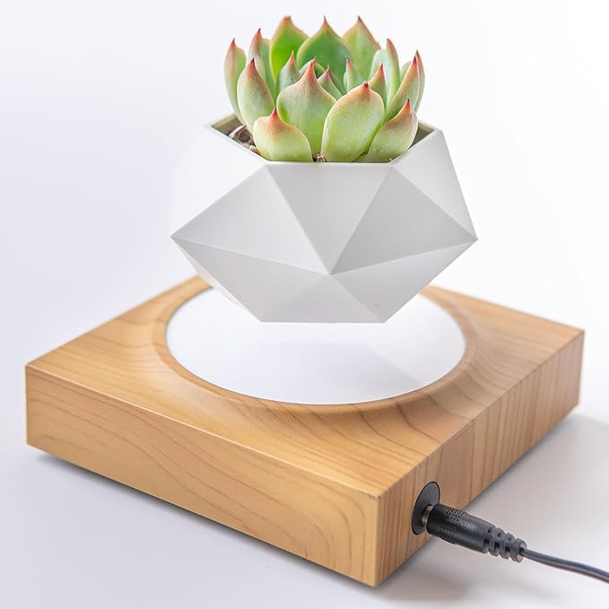 HCNT Levitation Air Bonsai Pot, Magnetic Levitating Mini Rotating Flower Pot Planters Suspension Floating Succulents Pot Sky-Garden Plant Potted for Home, Office