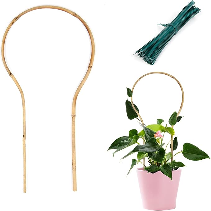 Cambaverd Plant Trellis Indoor 16in, Loop-Shaped Bamboo Trellis - 3 Pack for Climbing Plants, Hoya, Potted Plants