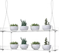 2-Tier Acrylic Window Display Shelves – 16" Adjustable Clear Racks for Herbs, flowers and Indoor Greenery in Kitchen & Bedroom
