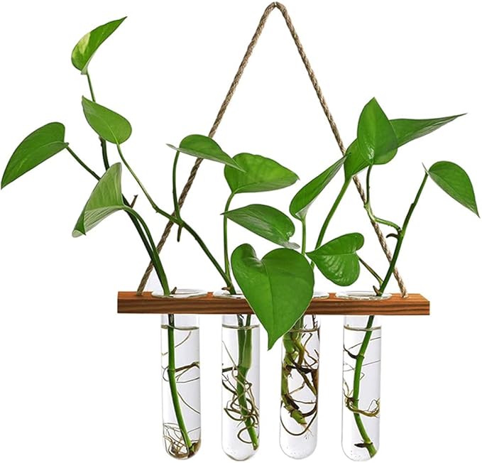 Wall Hanging Planter Terrarium with Wooden Stand, Mini Test Tube Flower Vases Retro Hanging Glass Planter Propagator for Hydroponic Plants Cutting Home Decor, 4 Propagation Tubes