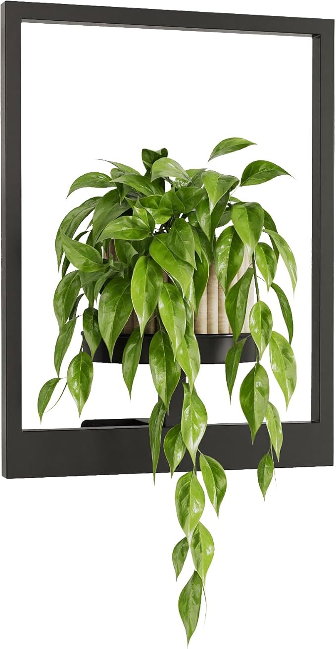 GENTINGBRO Wall Plant Holder Wall Planters for Indoor Plants Plant Wall Shelf Plant Hanger Indoor Hanging Plant Holder Wall Decor Plant Frame for Living Room Window Balcony