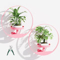 Metal Hanging Plant Stand Indoor, Art Frame Wall Decor Plant Shelf for Living Room, Entryway, Modern Flower Pot Holder for Home Aesthetic Decor, Garden Shears Included (Circle-Pink, 2pcs)
