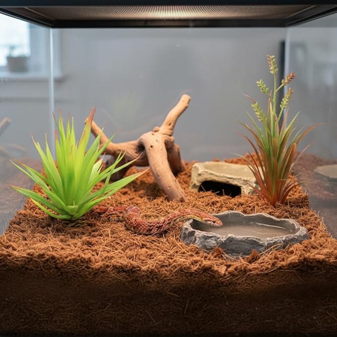 JIHAQUA Reptile Terrarium Decor 2-Piece Realistic Succulent Set,Lifelike Plastic Plants for Geckos, Bearded Dragons,Snakes,Turtles,Lizards,Insects Reptile Habitats
