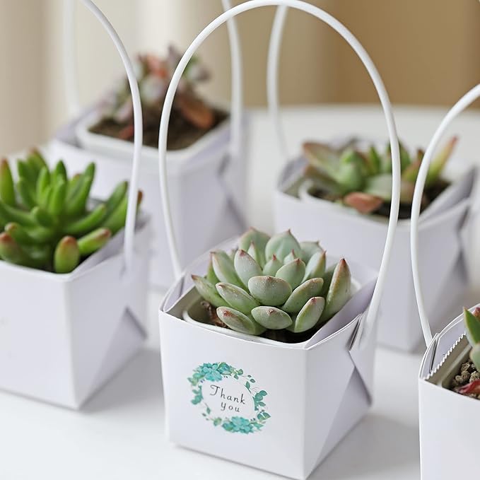 NITHECON 40pcs Thank You Succulents Wraps [NOT Include Plants and Pots]-[Fits 2 Inch Pots] Succulent Gift Wraps bags Decoration Sleeve Succulent for Wedding Baby Shower Favors Ideas,White