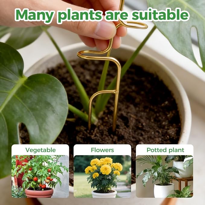 Plant Stakes, 2026 New Plant Support Stakes for Indoor Plants, Potted Stem Climbing Holders, Plant Sticks Support Tall for Indoor Monstera Tomato Orchid Potted Plants Flower (Mix 2PC)
