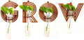 4 Pack Letter Wall Propagation Planters Test Tubes Wall Decor for Hanging Plants Clear Water Plant Vase Boho Alphabet Functional Art Wood Brown Set Grow