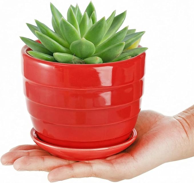 Elsjoy 6 Pack 4.3 Inch Ceramic Succulent Pots with Drainage and Attached Saucer, Small Decorative Succulent Planter Cute Ceramic Flower Pots for Home, Garden