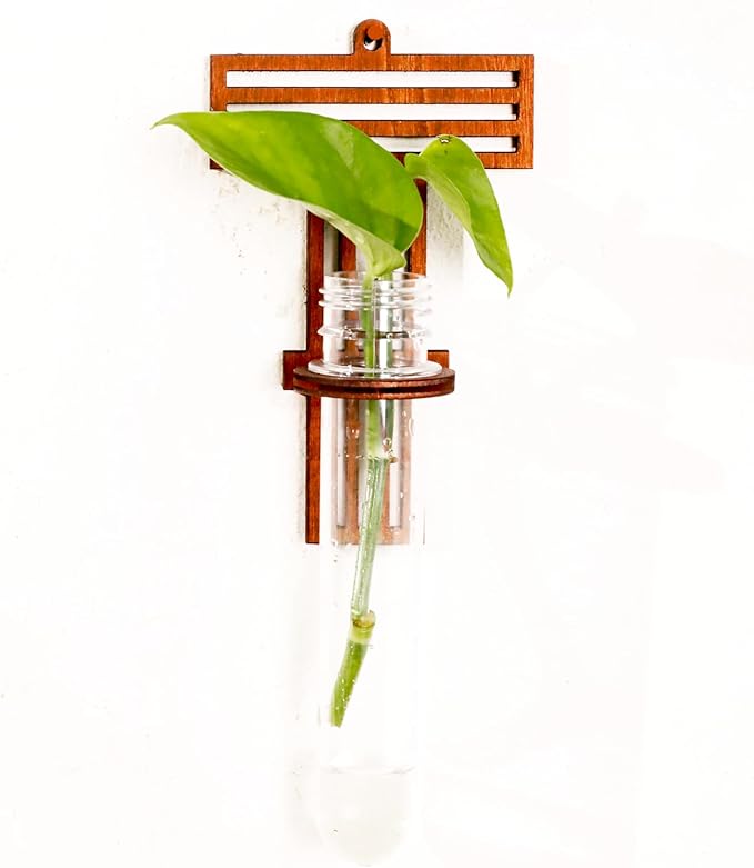 Wood Letter Wall Planter Terrariums Propagation Station with Test Tube Clear Flower Vase for Hydroponics Custom Vertical Garden Walnut DIY Home Decor Hanging Plant Holder Alphabet
