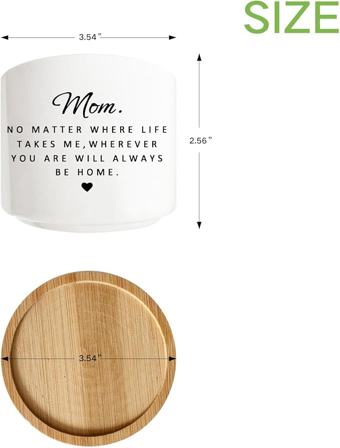 for Mom, Small Ceramic Succulent Planter Pot with Bamboo Tray, 3.5 Inch Round Flower Pot, Birthday Gifts for Mom from Daughter Son