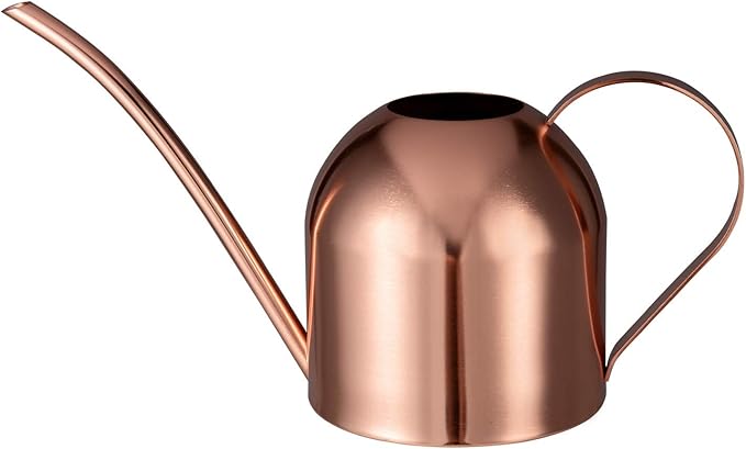 IMEEA Indoor Watering Can for House Plants 33oz/1L Stainless Steel Watering Can with Long Spout for Succulents, Bonsai
