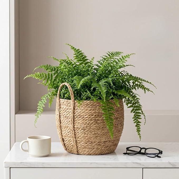 12 inch Large Seagrass Woven Planter Basket with Handles - Wicker Planter Basket with Plastic Film Insert for Indoor Plants, Large Monstera Pot, Woven Storage Basket, Boho Home Decor
