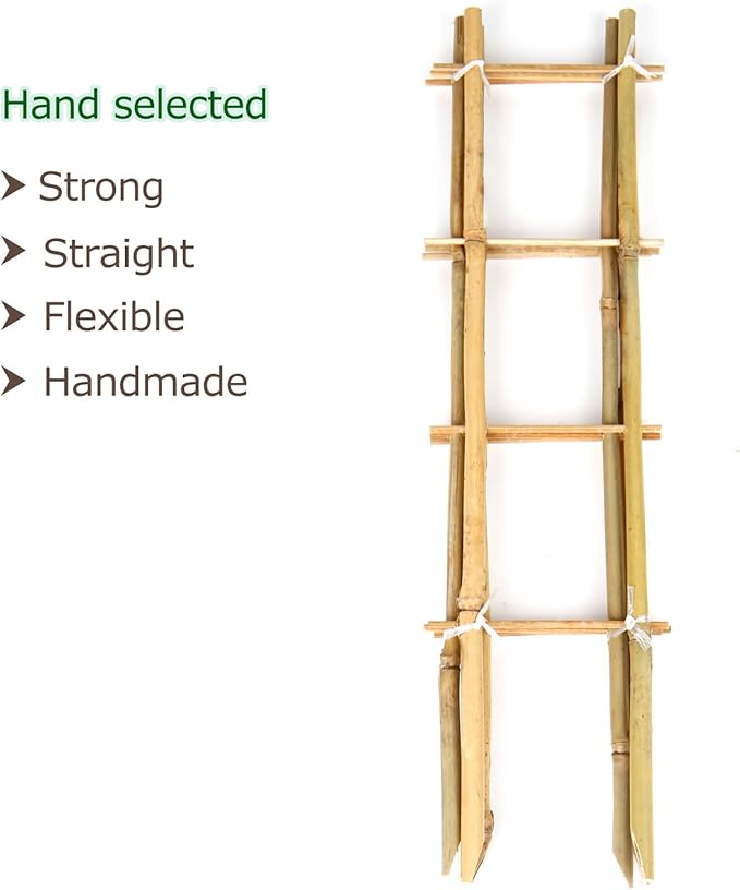 Cambaverd Bamboo Trellis, 16in Ladder-Shaped Trellis for Potted Plants, 3 Pack for Climbing Plants Indoor
