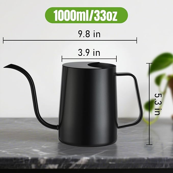 34 oz / 1000 ml Watering Can Indoor Plants, Stainless Steel Plant Watering Can with Long Spout (Black)