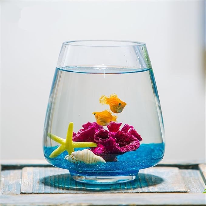 Decor Creative Transparent Glass Fish Tank Aquarium Desktop Living Room Small Goldfish Aquarium Office Hydroponics Plant Planter Starter(Large)