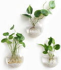 Mkono Wall Hanging Planter Propagation Station Glass Flower Vase for Hydroponics Plants, Bathroom, Home Office Living Room Decor Gift, Oblate Set of 3(Plants not Included)