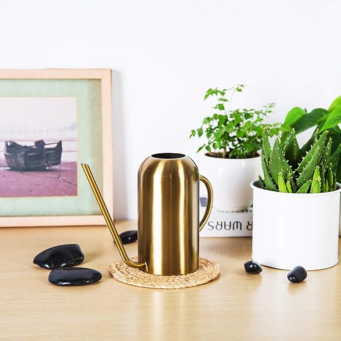 Stainless Stee Watering Can for Indoor Plants and Garden, Watering Pot 40oz/3gallon, Gold
