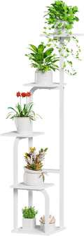 Asgolion 5 Tier Plant Stand Indoor, Plant Shelf for Multiple Plants, Flower Pot Holder Shelf, Planter Display Rack for Patio Garden Balcony Living Room Bedroom Decor, White