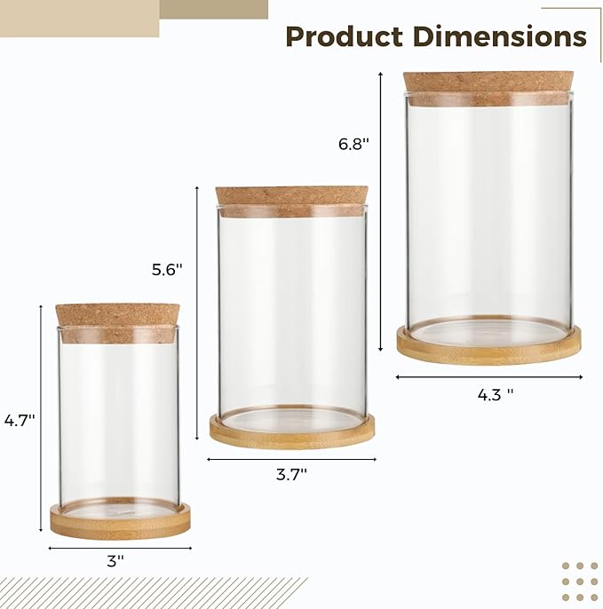 5-7 Inch Small Medium Large Plants Propagation Station - Set of 3 Propagation Vases for Indoor, Glass Plant Containers with Cork and Wooden Tray