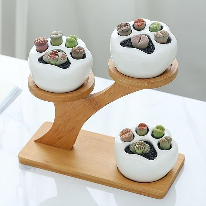 Bamboo Plant Stand Indoor 3 Tier Mini Succulent Window Shelf for Plants with Rectangular Bamboo Tray, Small Tabletop Flower Pot Holder for Home Office Windowsill Patio Garden Balcony.