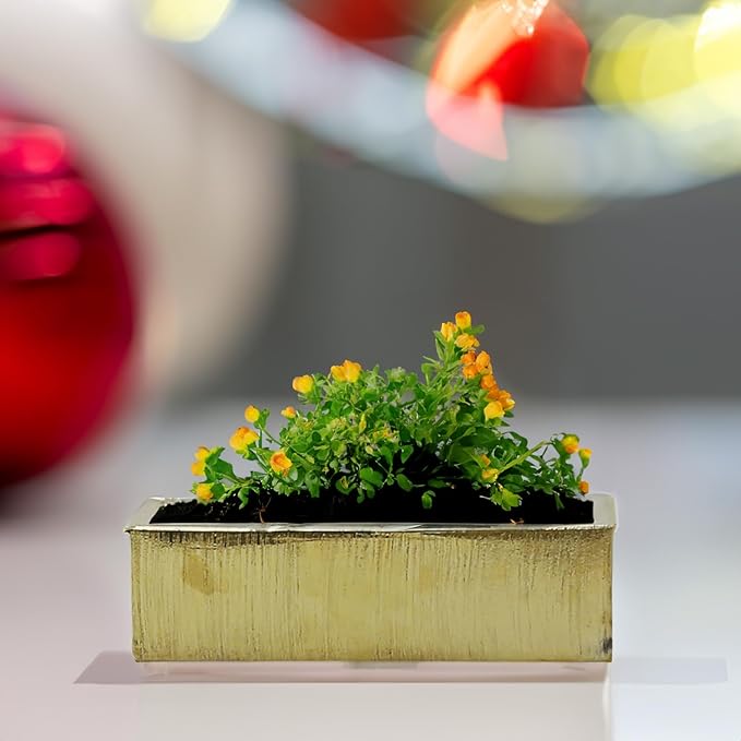 WGVI Long Rectangle Ceramic Planter Vase in Gold Etched 14" x 4" x 4"H, Rectangular Box Block Terrarium Pot, Flower Arrangement, Tabletop Centerpiece, Home Décor, Storage Container, 1 Pc.