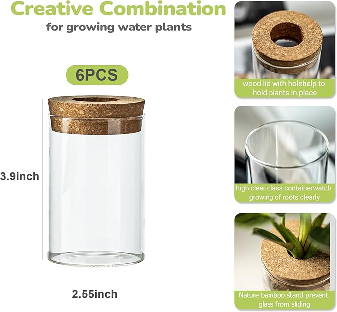 Snminetal Glass Plant Propagation Station Set of 6, Modern Desktop Flower Vase for Succulent Cuttings, Home Office Decoration, Ideal Housewarming Gift for Living Room, Bedroom