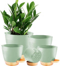 5-Pack Plant Pots with Drainage 7/6.5/6/5.5/5 Inch, Self Watering Pots for Indoor Plants, Planters for Indoor Outdoor Plants, Plastic Flower Pot, Planter for Indoor Outdoor (Green)