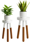 LitaEther Reverse Dipped Wood Plant Stand, Wood Accent Stool,Milking Stool Set (16" H x 12" D+18" H x 12" D)