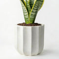 10 Inch Plant Pot – Ceramic Planter with Drainage Hole & Removable Drain Plug, Decorative Flower Pot for Indoor Outdoor Plants, Modern Round Large Planter, Cream White
