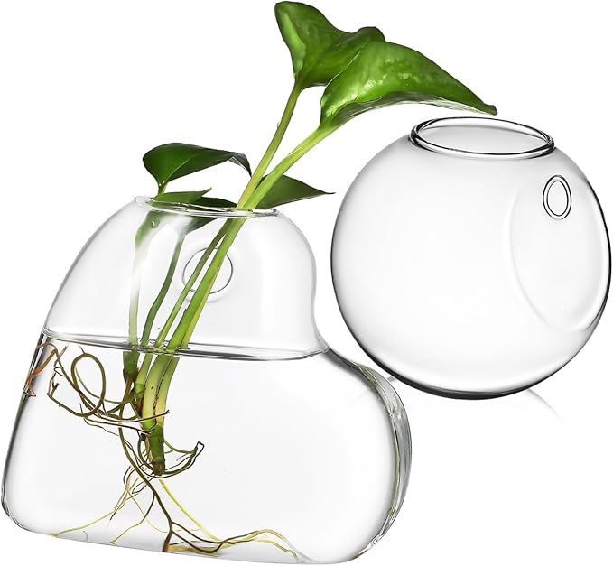 Sosoport 2 Pcs Borosilicate Glass Hanging Planter Vase for Indoor Plants and Fish Bowls Wall Mounted Propagation Station with Easy Installation Hardware Clear Glass Terrarium Pot for Home