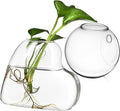 Sosoport 2 Pcs Borosilicate Glass Hanging Planter Vase for Indoor Plants and Fish Bowls Wall Mounted Propagation Station with Easy Installation Hardware Clear Glass Terrarium Pot for Home