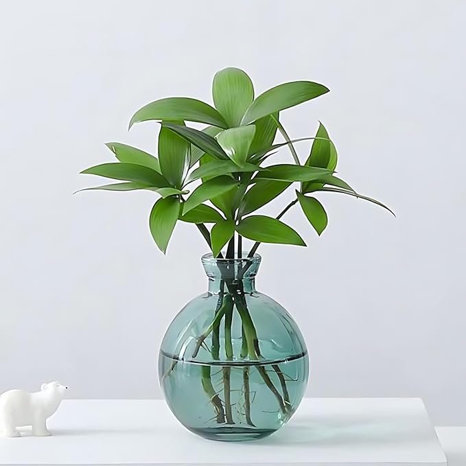 Plant Propagation Station Propagation Vases for Plants Glass Terrariums Vases Bulb with Wooden Stand for Hydroponic Water Plants Indoor, Office Decor Desk Accessories (Green)