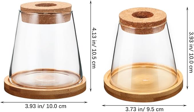 2pcs Glass Plant Propagation Station with Wooden Base Hydroponic Plants Vase for Indoor Decor Glass Terrarium Vase Jars Home Kitchen Decorations and Gifts for Planter Lovers