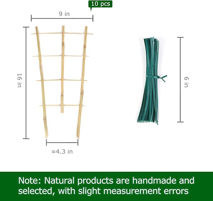 Cambaverd Bamboo Trellis 10 Pack, 16in Fan-Shaped Plant Trellis Indoor for Climbing Plants