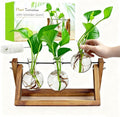Renmxj Plant Propagation Stations with Wooden Stand & 3 Glass Bulb Vases - Plant Terrarium for Indoor Plants, Home Office Desk Decor, Gardening Gifts for Women Mom, Birthday Gifts for Plants Lovers